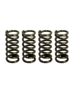 Bear-RP-1110-MP-Pilot Valve Spring - Rotors - 70# (Bag of 4)