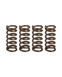 Bear-RP-1111-MP-Pilot Valve Spring - Rotors - 80# (Bag of 4)